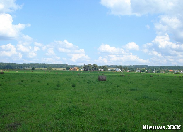 boerenmeid58