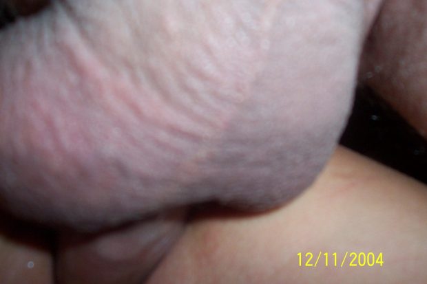 01 (49)