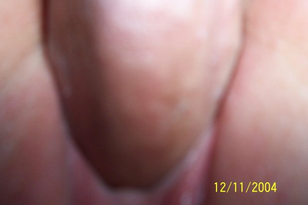 01 (51)